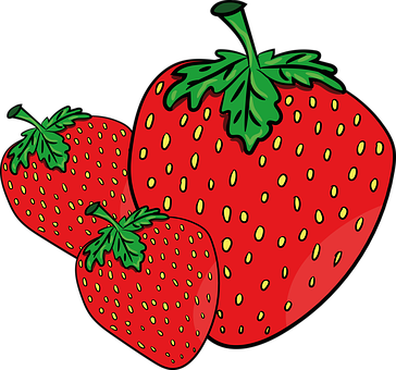 Fresh Strawberries Illustration PNG