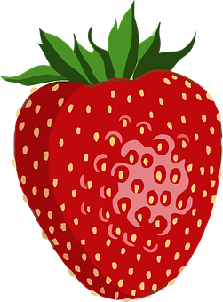 Fresh Strawberry Vector Illustration PNG