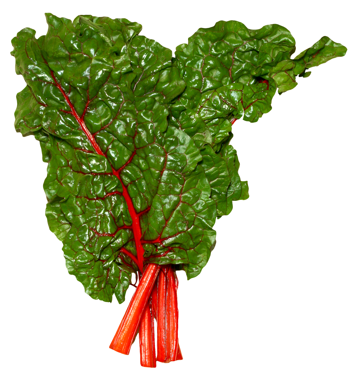 Fresh Swiss Chard Bunch PNG