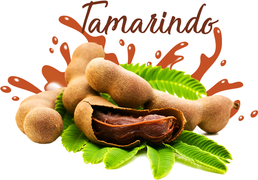 Fresh Tamarind Pods Splash PNG