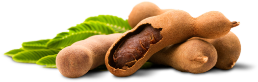 Fresh Tamarind Podsand Leaves PNG