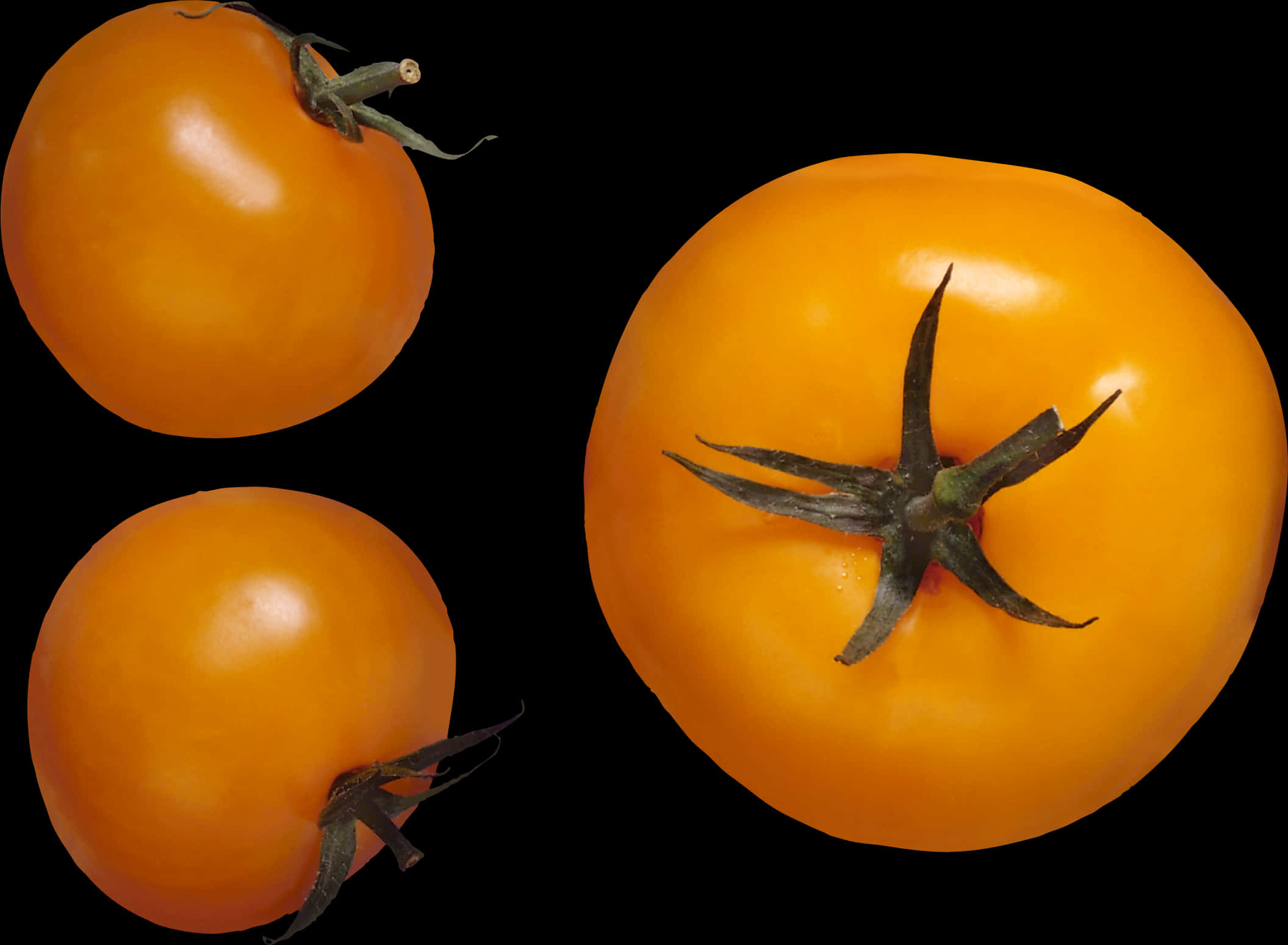 Fresh Tomatoes Black Background PNG