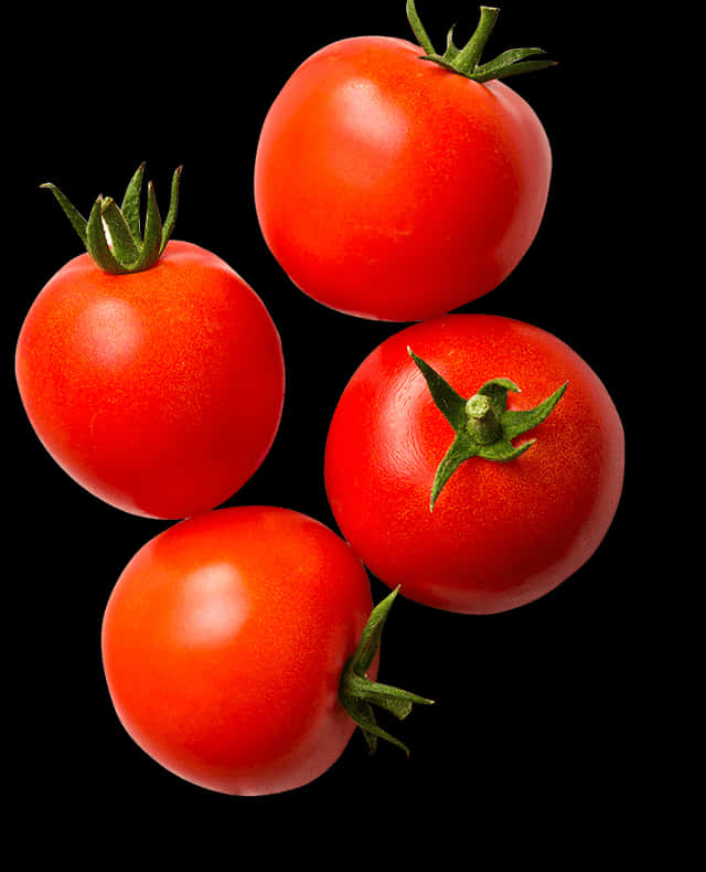 Fresh Tomatoes Black Background PNG
