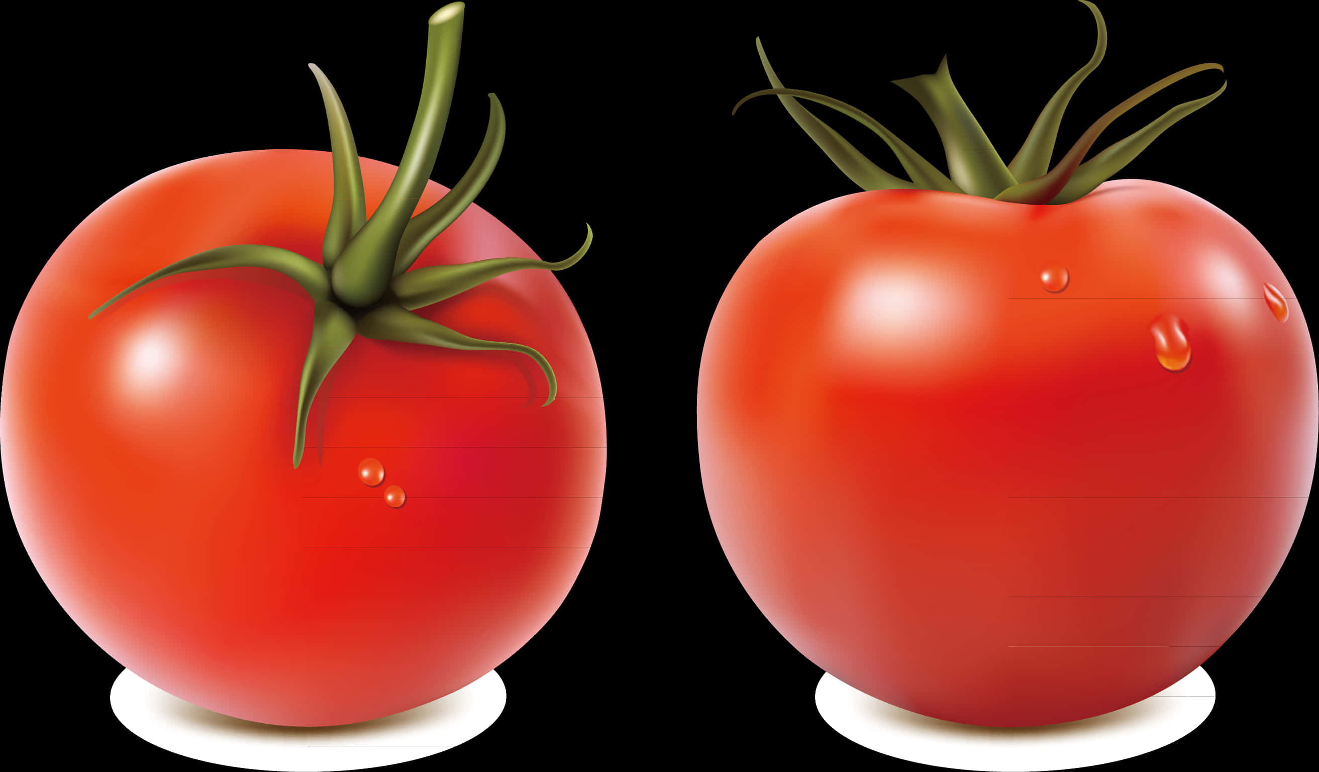 Fresh Tomatoes Illustration PNG