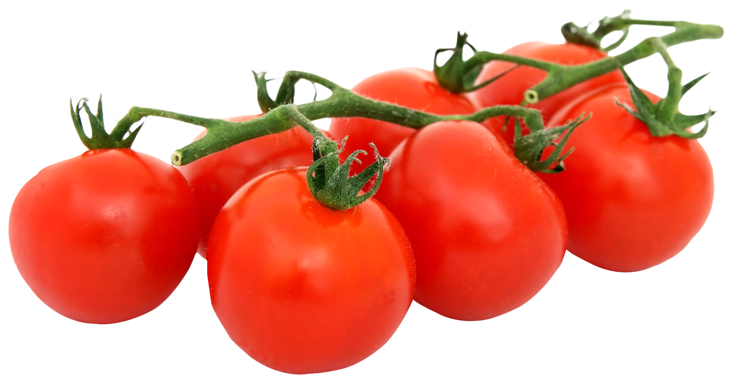 Fresh Tomatoeson Vine PNG