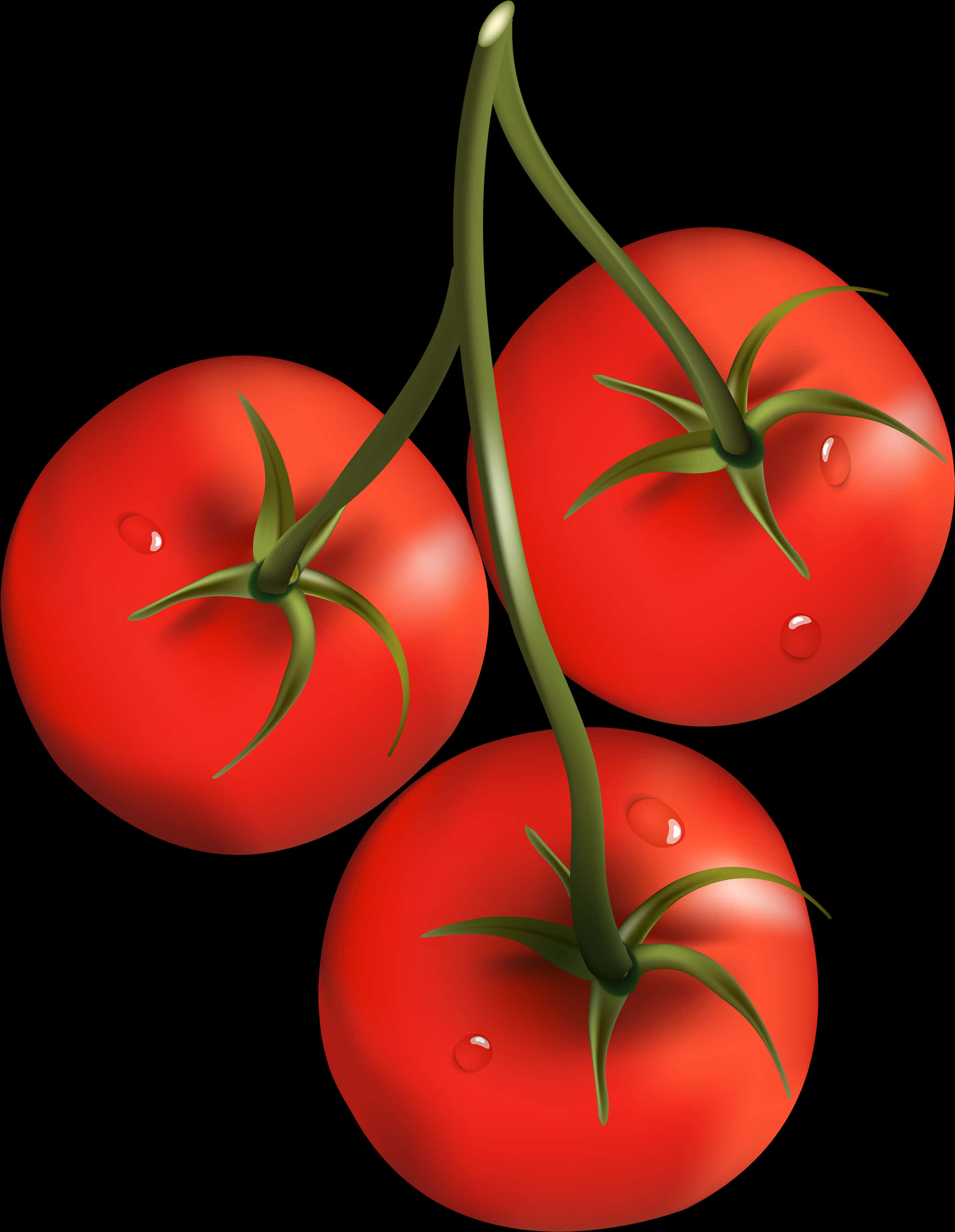 Fresh Tomatoeson Vine PNG