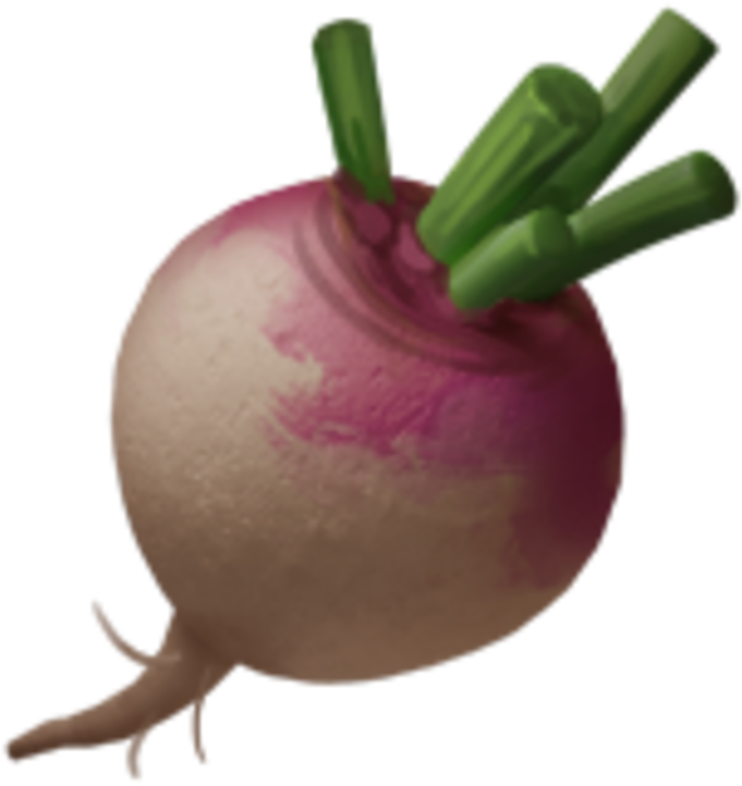 Fresh Turnip Isolated Background PNG