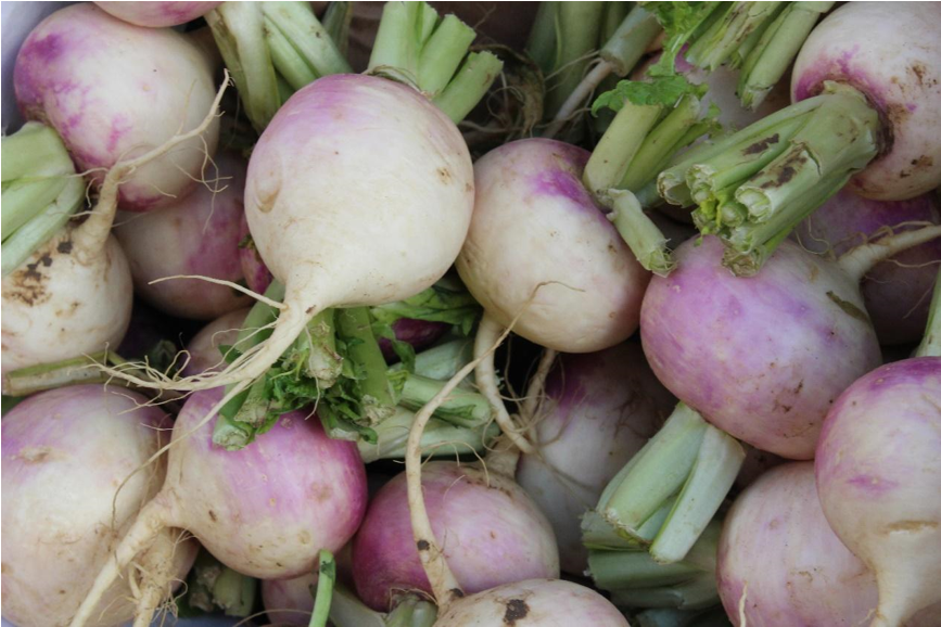 Fresh Turnips Bunch Top View PNG