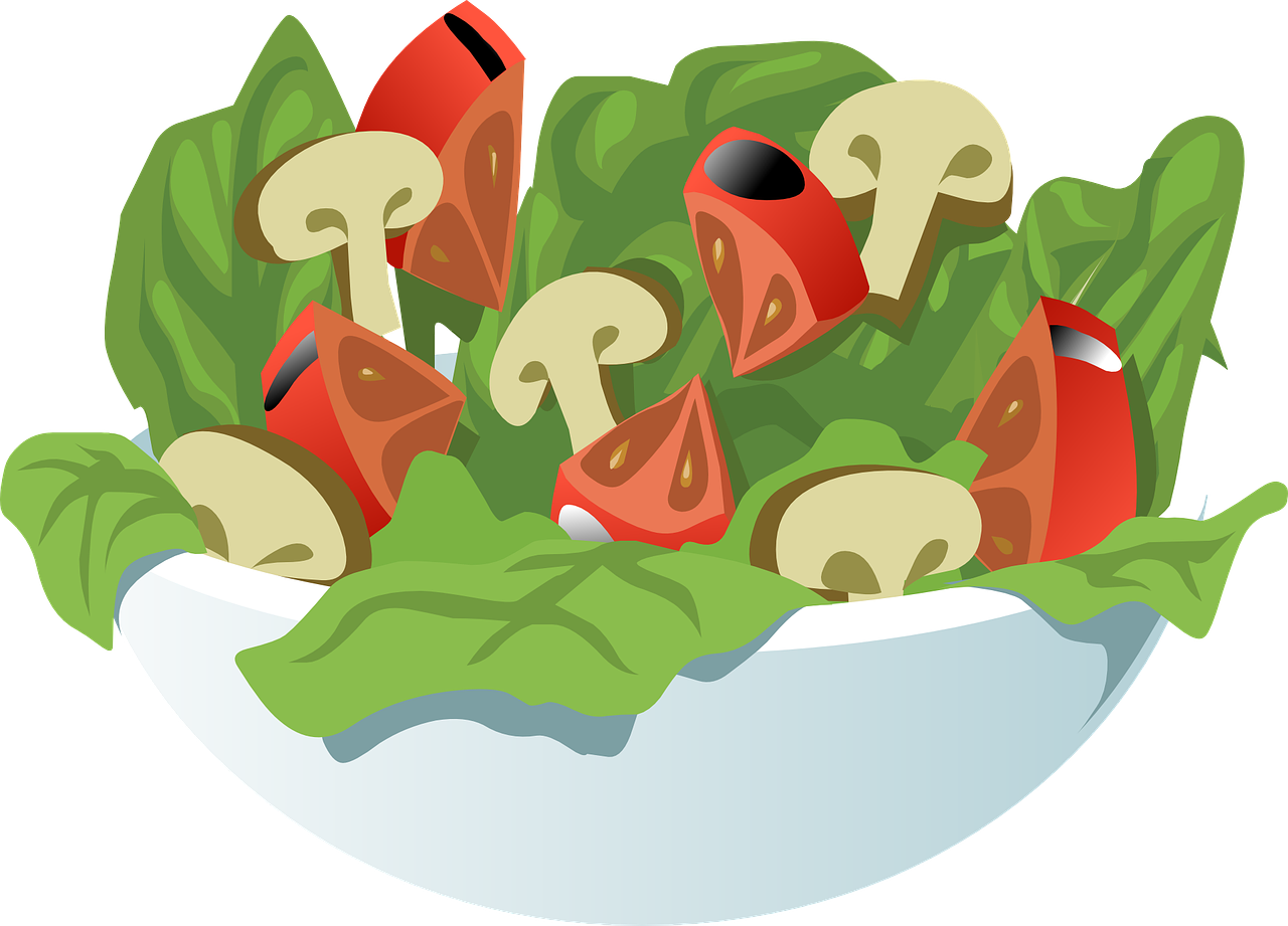 Fresh Vegetable Salad Illustration.png PNG