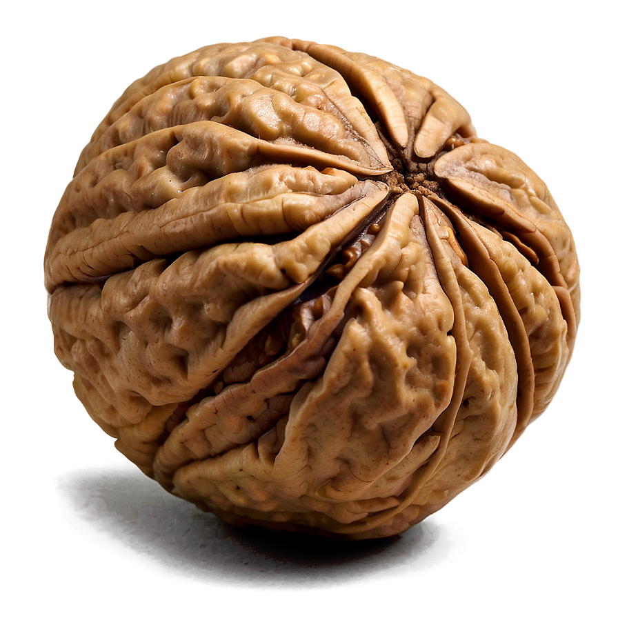 Fresh Walnut Png Bnf56 PNG