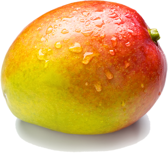 Fresh Water Dropletson Mango PNG