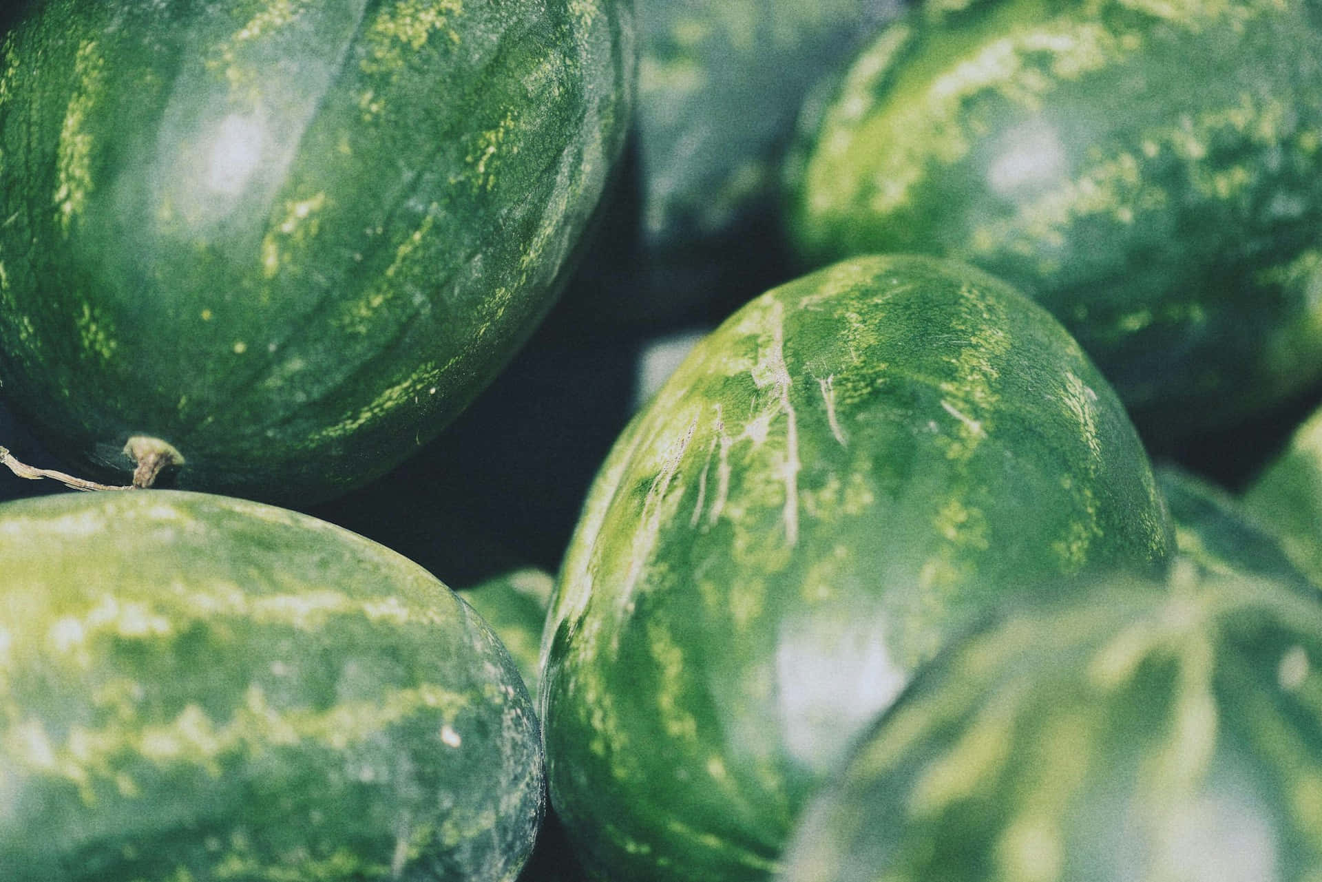 Fresh Watermelons Display Aesthetic Wallpaper