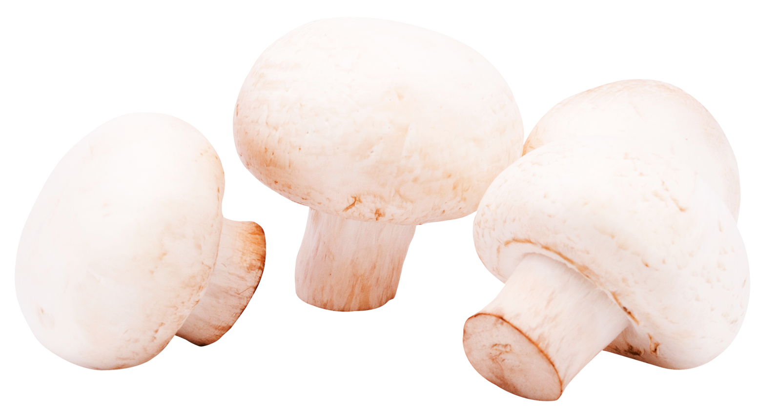 Fresh White Button Mushrooms PNG