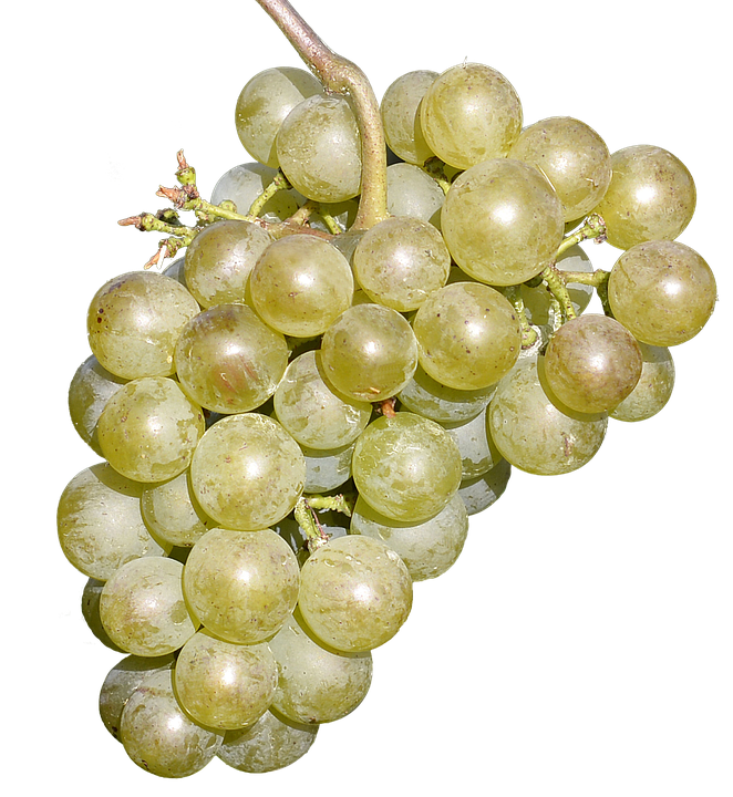 Fresh White Grapes Cluster.png PNG