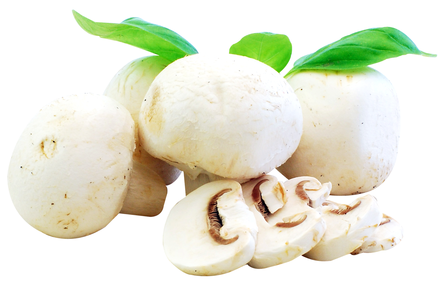 Fresh White Mushrooms Isolated PNG