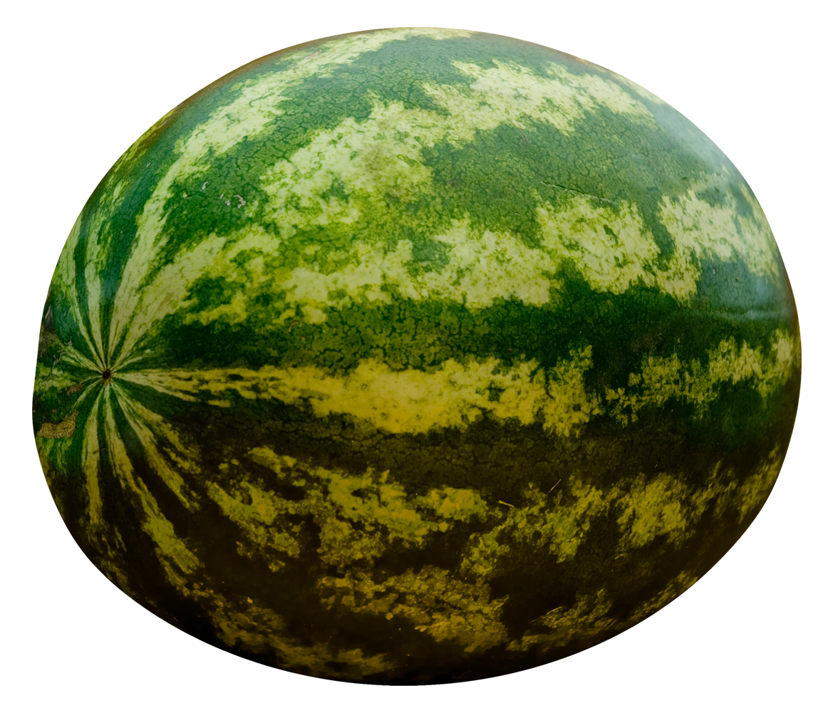 Fresh Whole Watermelon Image PNG