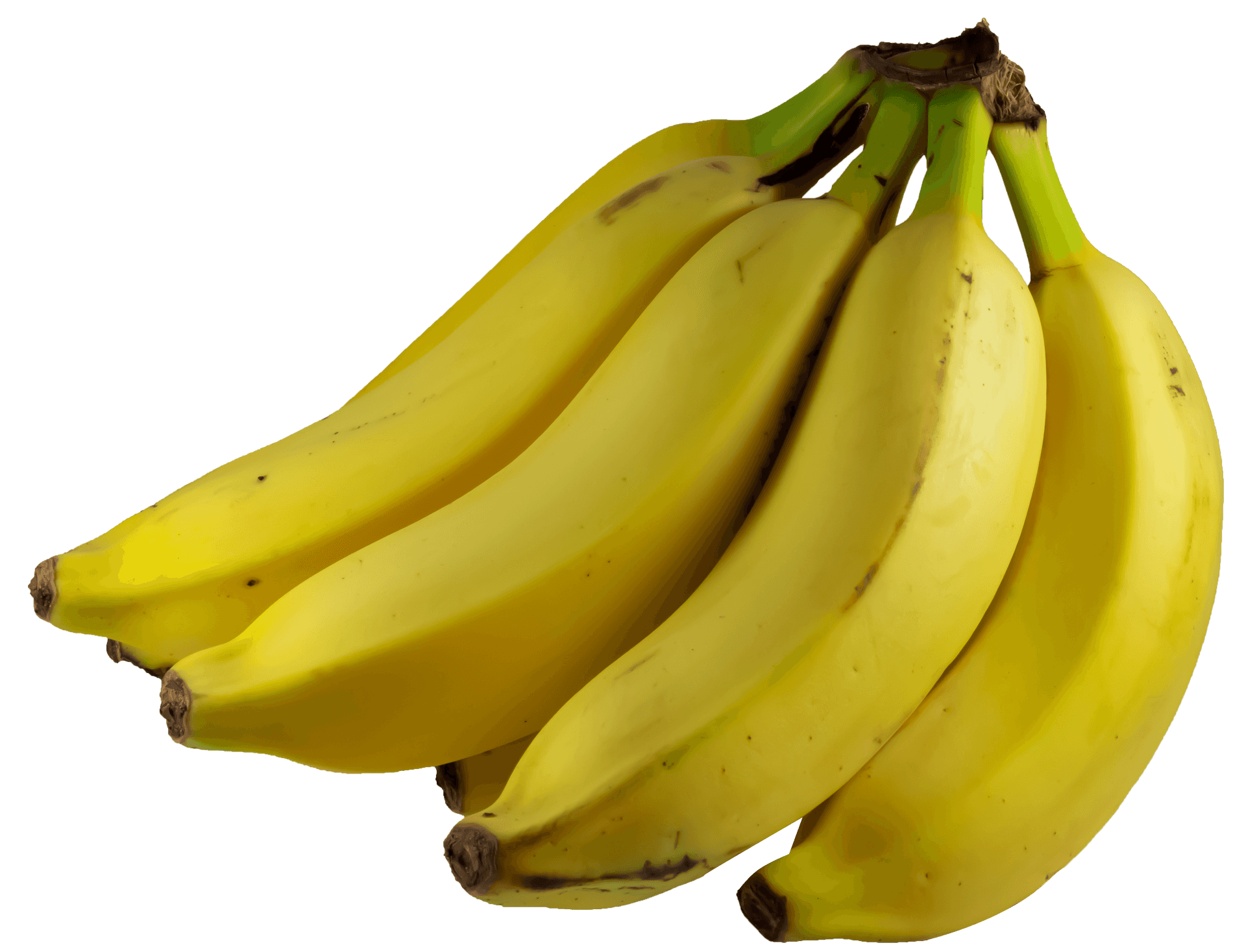 Fresh Yellow Bananas Cluster PNG