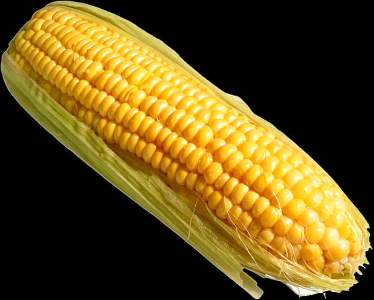 Download Fresh Yellow Corn Cob | Wallpapers.com