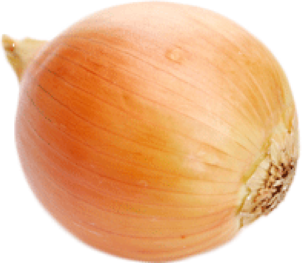 Fresh Yellow Onion PNG