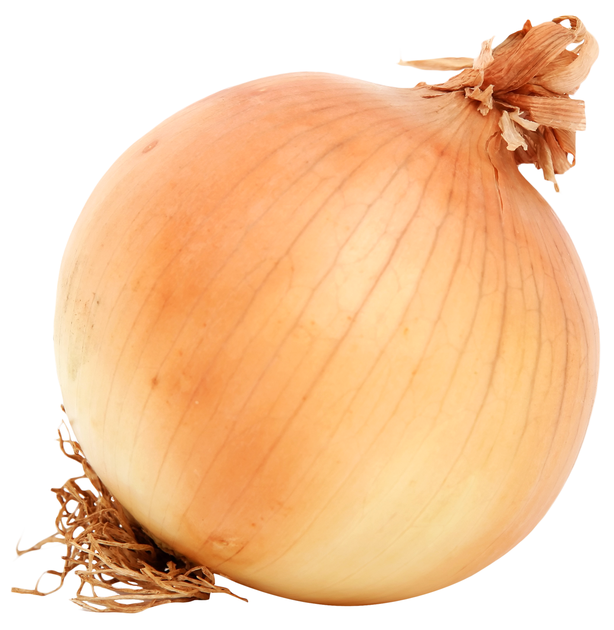 Fresh Yellow Onion PNG