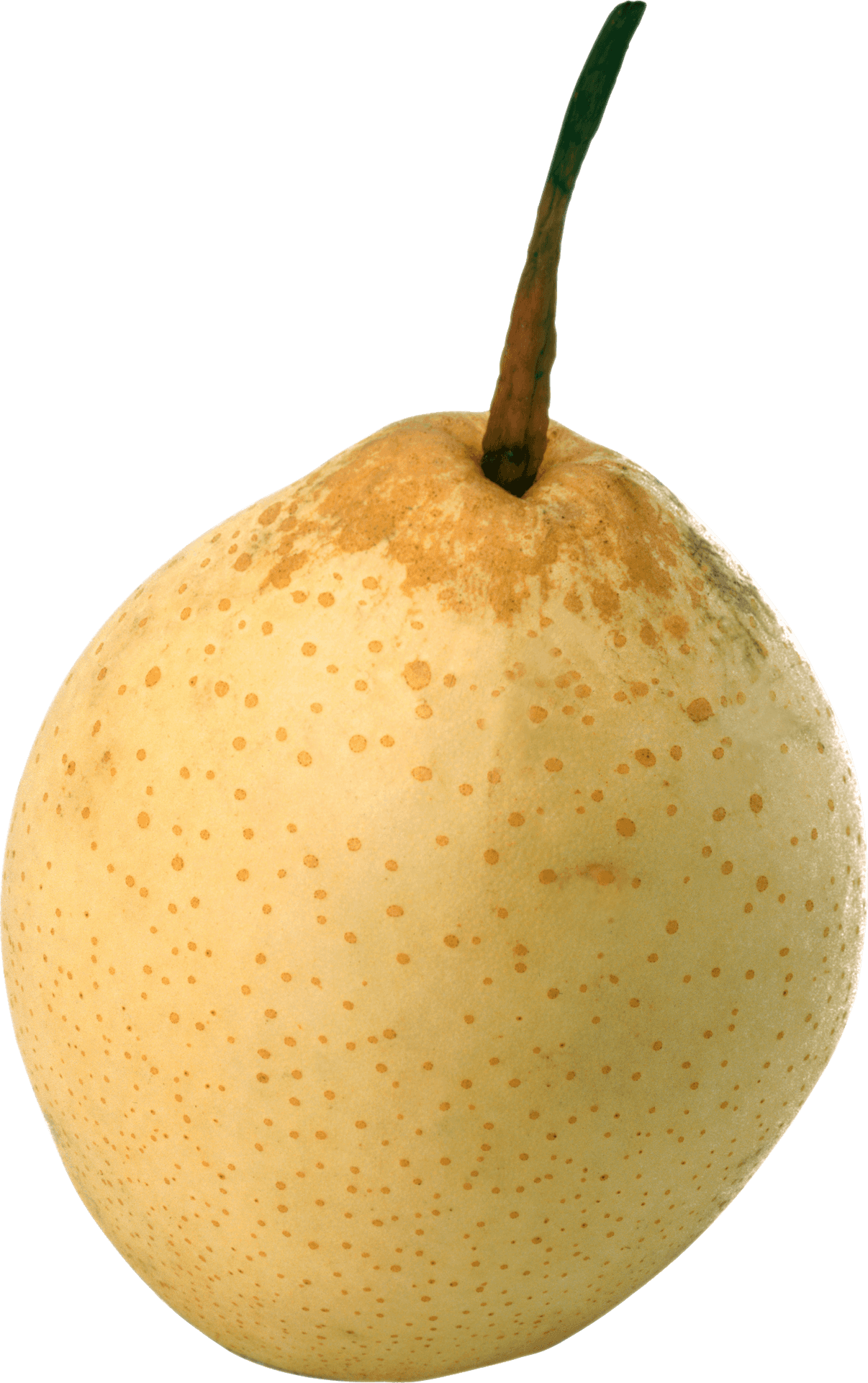 Fresh Yellow Pear Single Isolated PNG