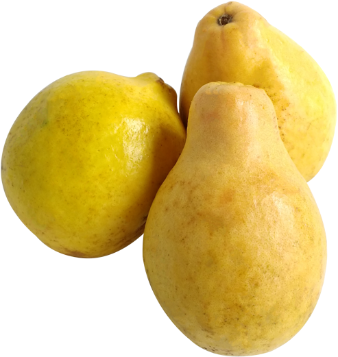 Fresh Yellow Pears Isolated PNG