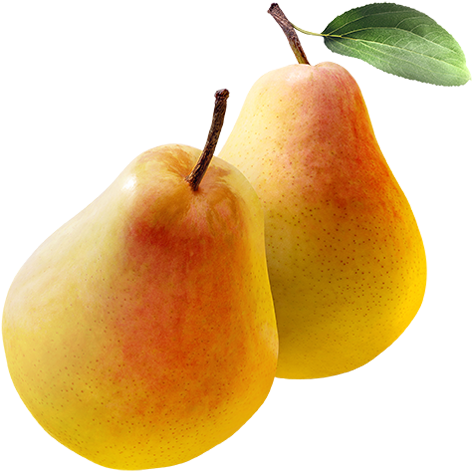 Fresh Yellow Pears With Leaf PNG