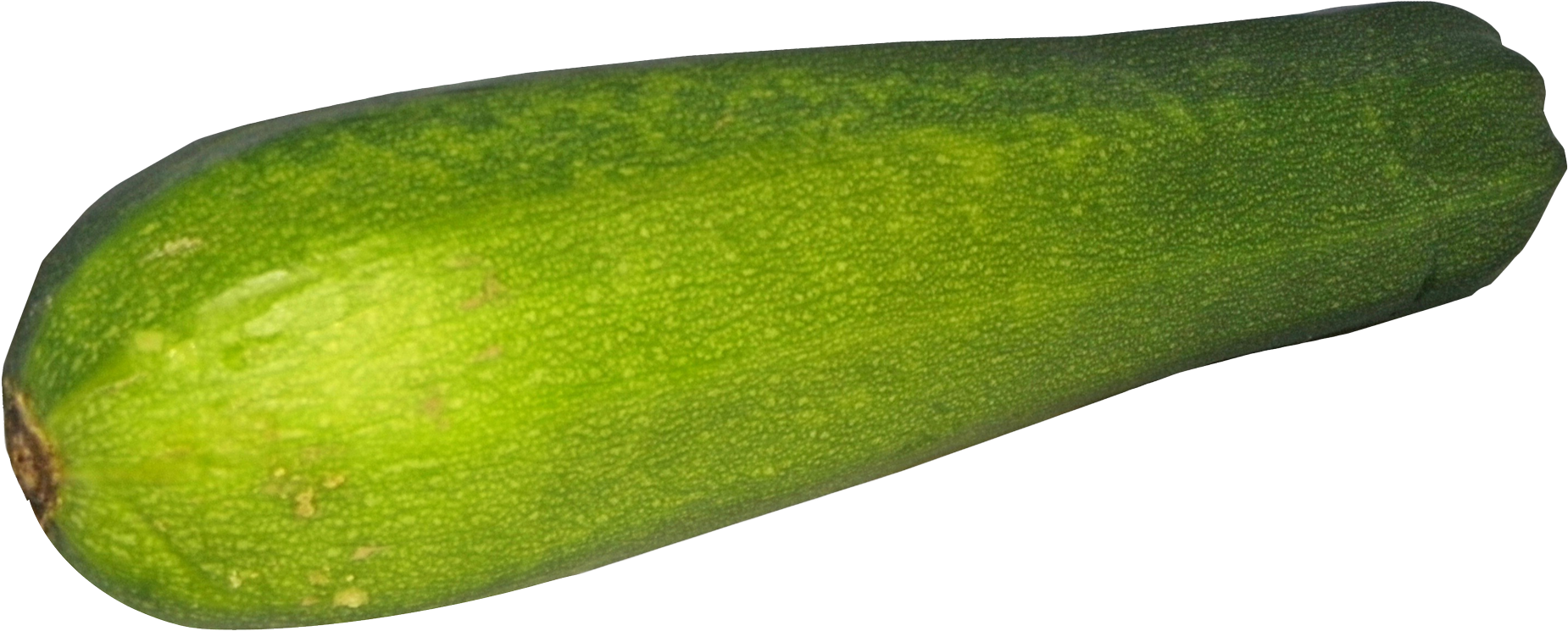 Fresh Zucchini Vegetable PNG