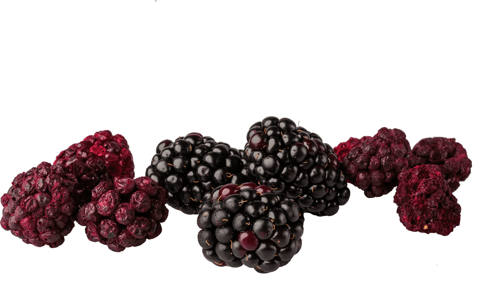 Freshand Dried Blackberries PNG