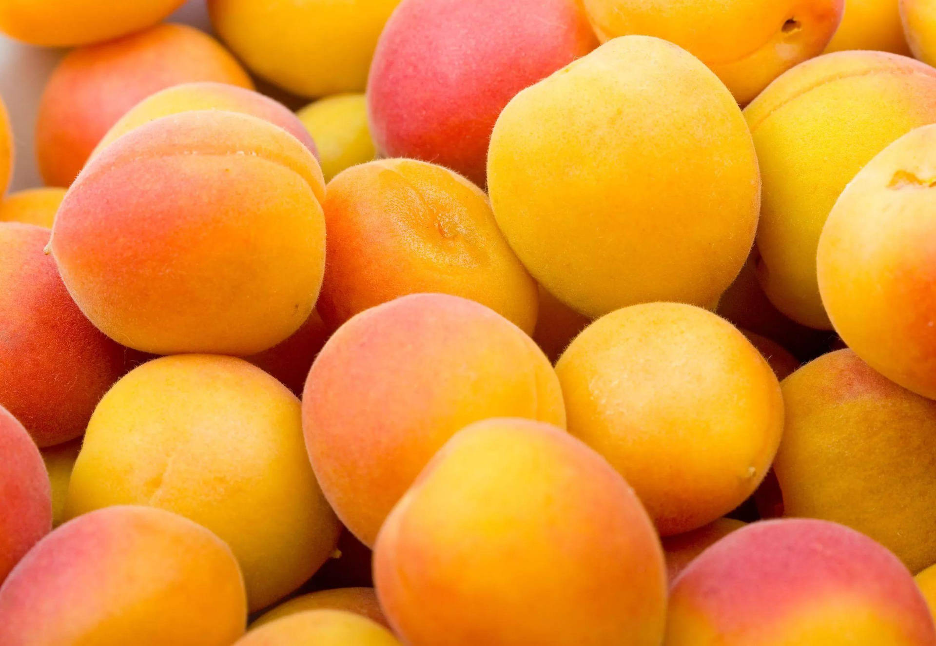 Freshly Harvested Apricot Fruits Wallpaper