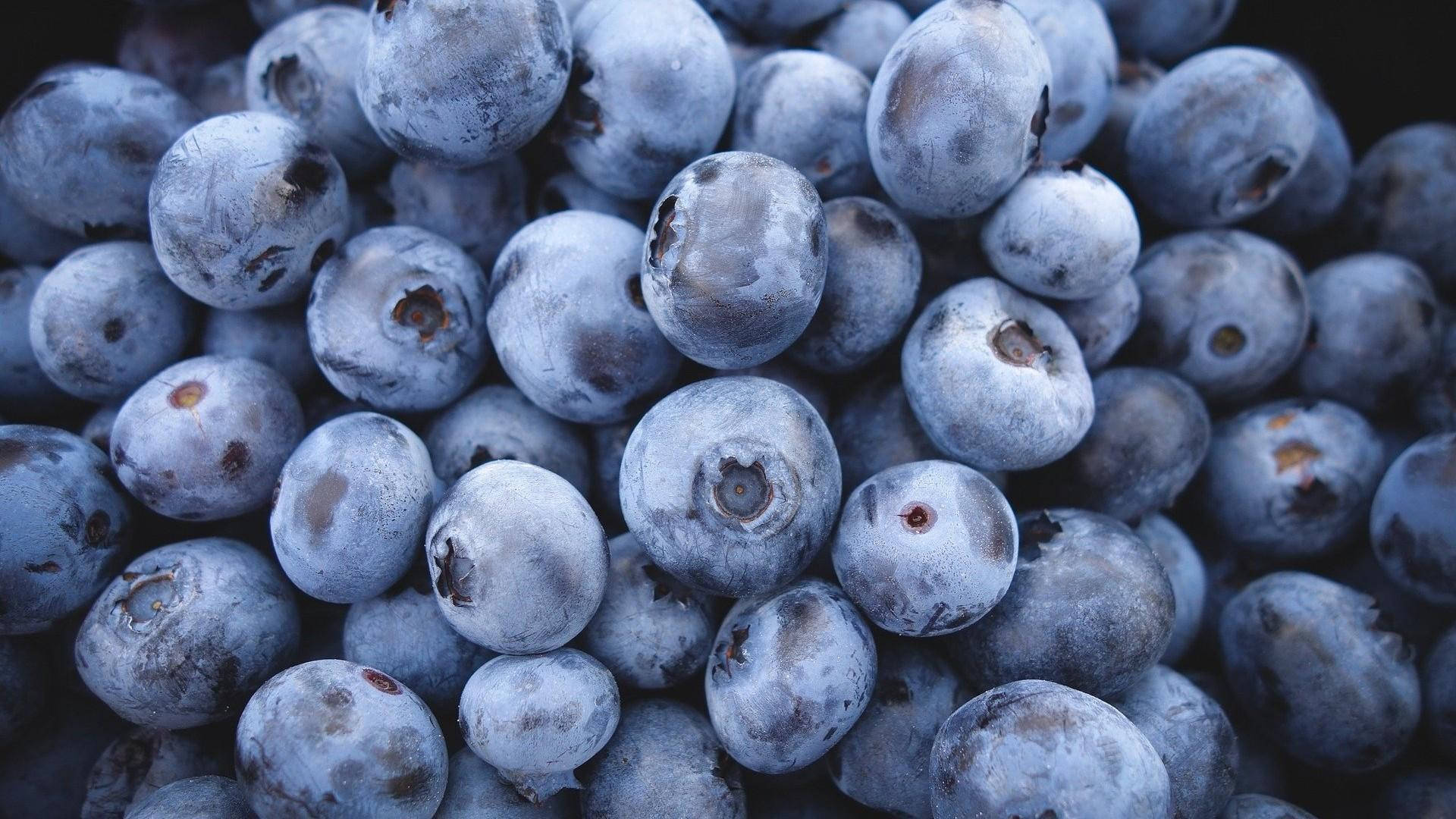 A Bountiful Harvest of Freshly Picked Blueberries Wallpaper