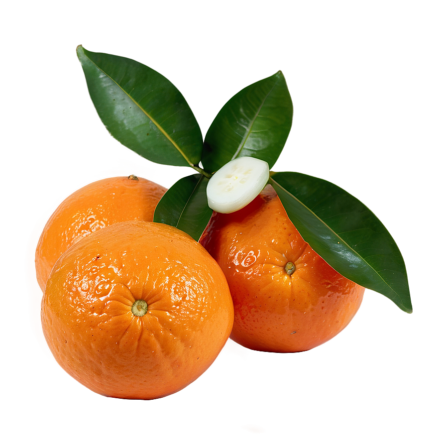 Freshly Picked Organic Oranges Png Ess45 PNG