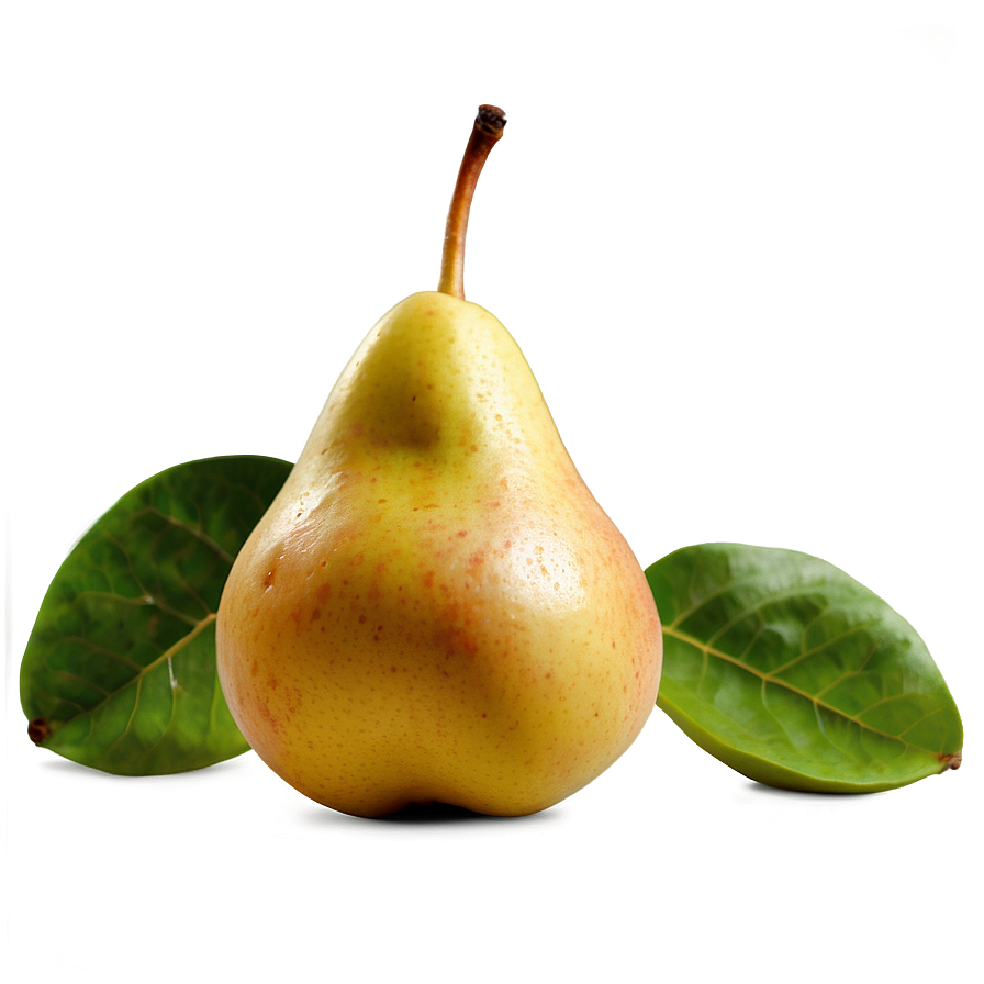 Freshly Picked Pear Png Vbb PNG