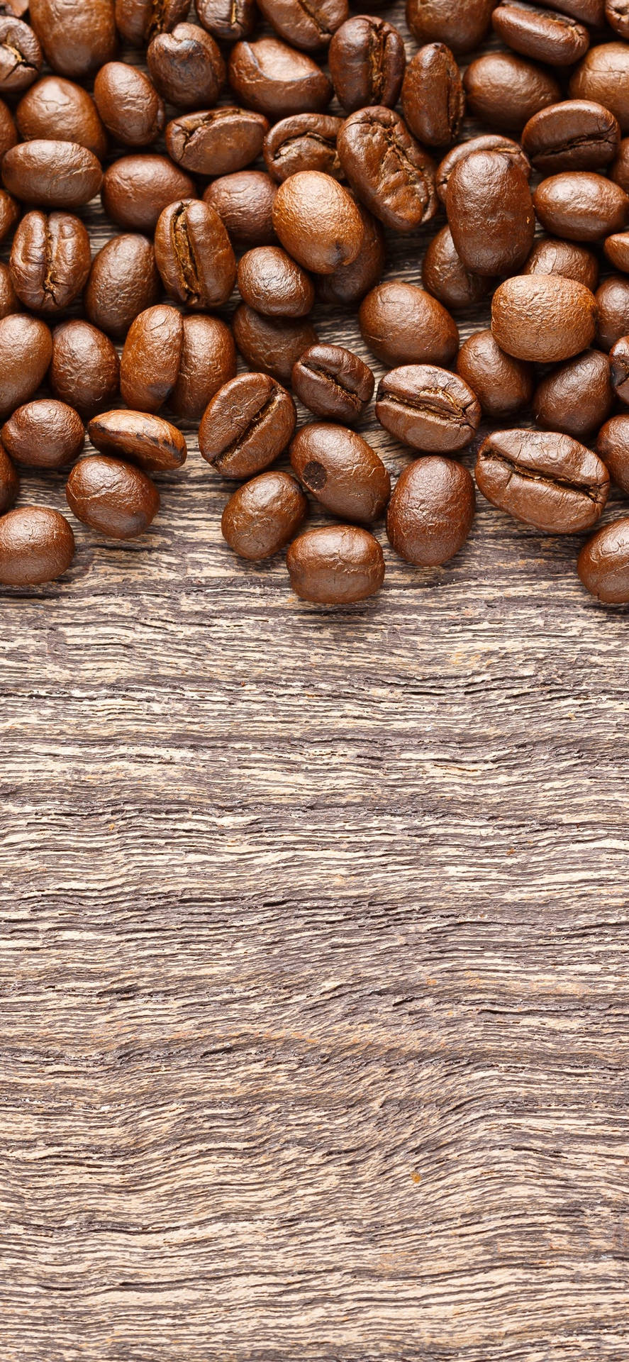 Freshly Roasted Coffee Beans Background