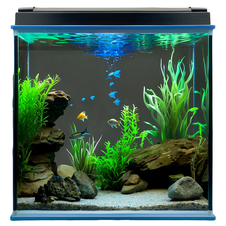 Freshwater Aquarium Png 41 PNG