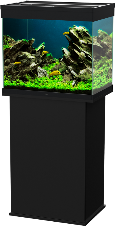 Freshwater Aquarium Setup PNG