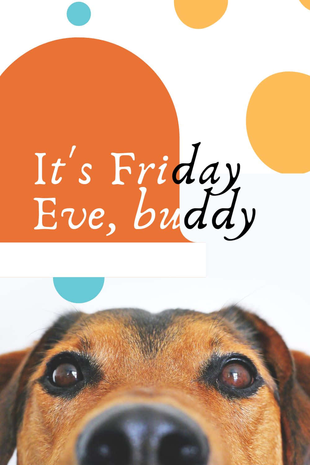 Friday Eve Dog Celebration.jpg Wallpaper