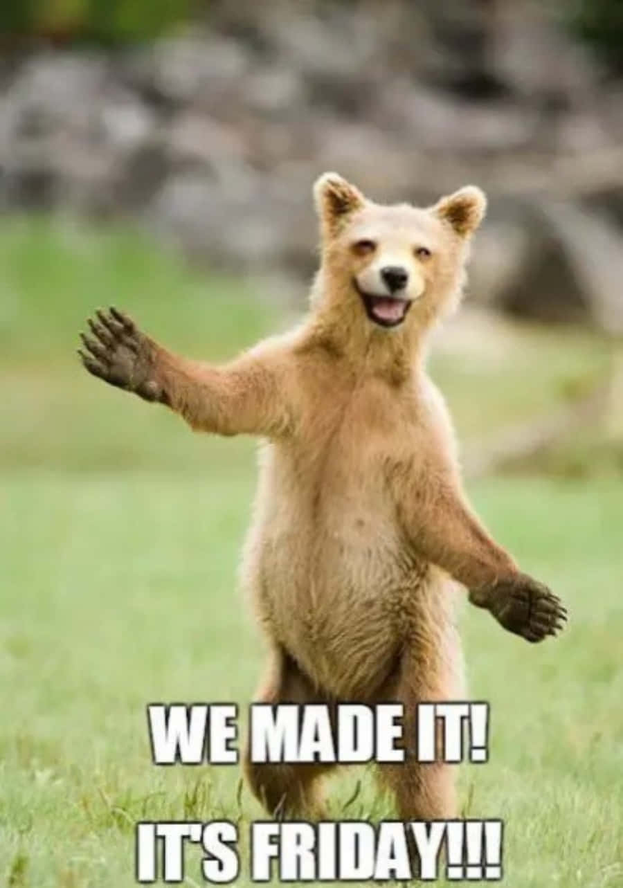 A Bear With His Arms Up And Saying We Made It Friday