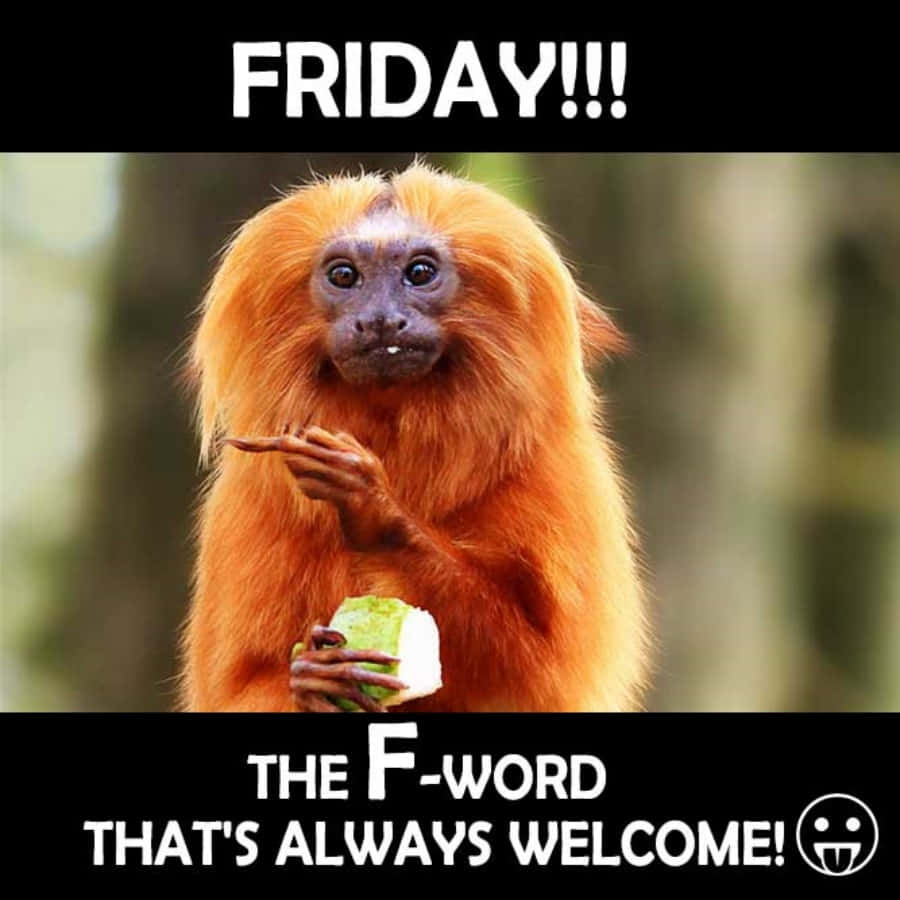 Friday The F - Word That's Always Welcome
