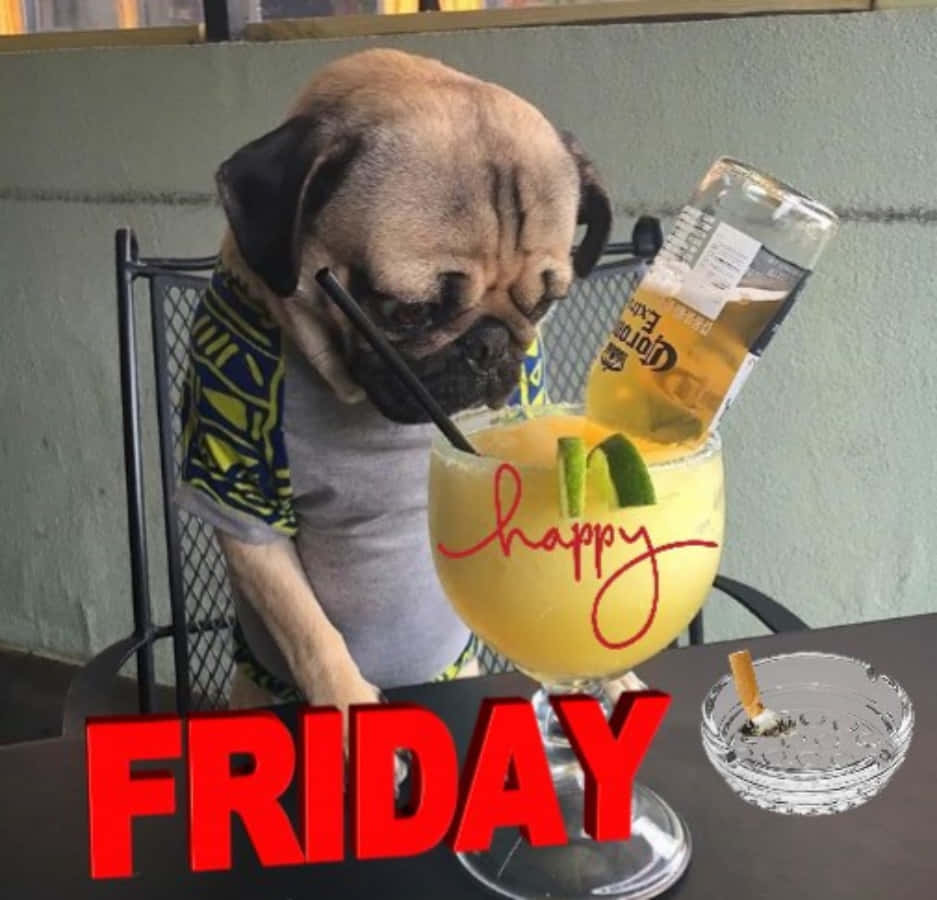 its friday funny drink