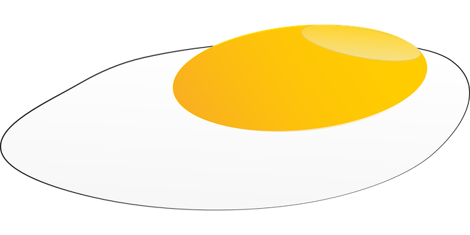 Fried Egg Vector Illustration PNG