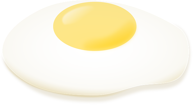 Fried Egg Vector Illustration PNG