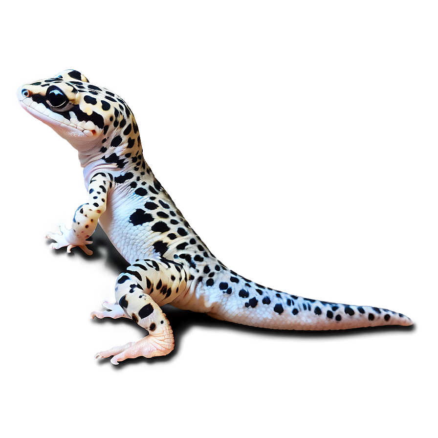 Friendly Leopard Gecko Png Akg PNG