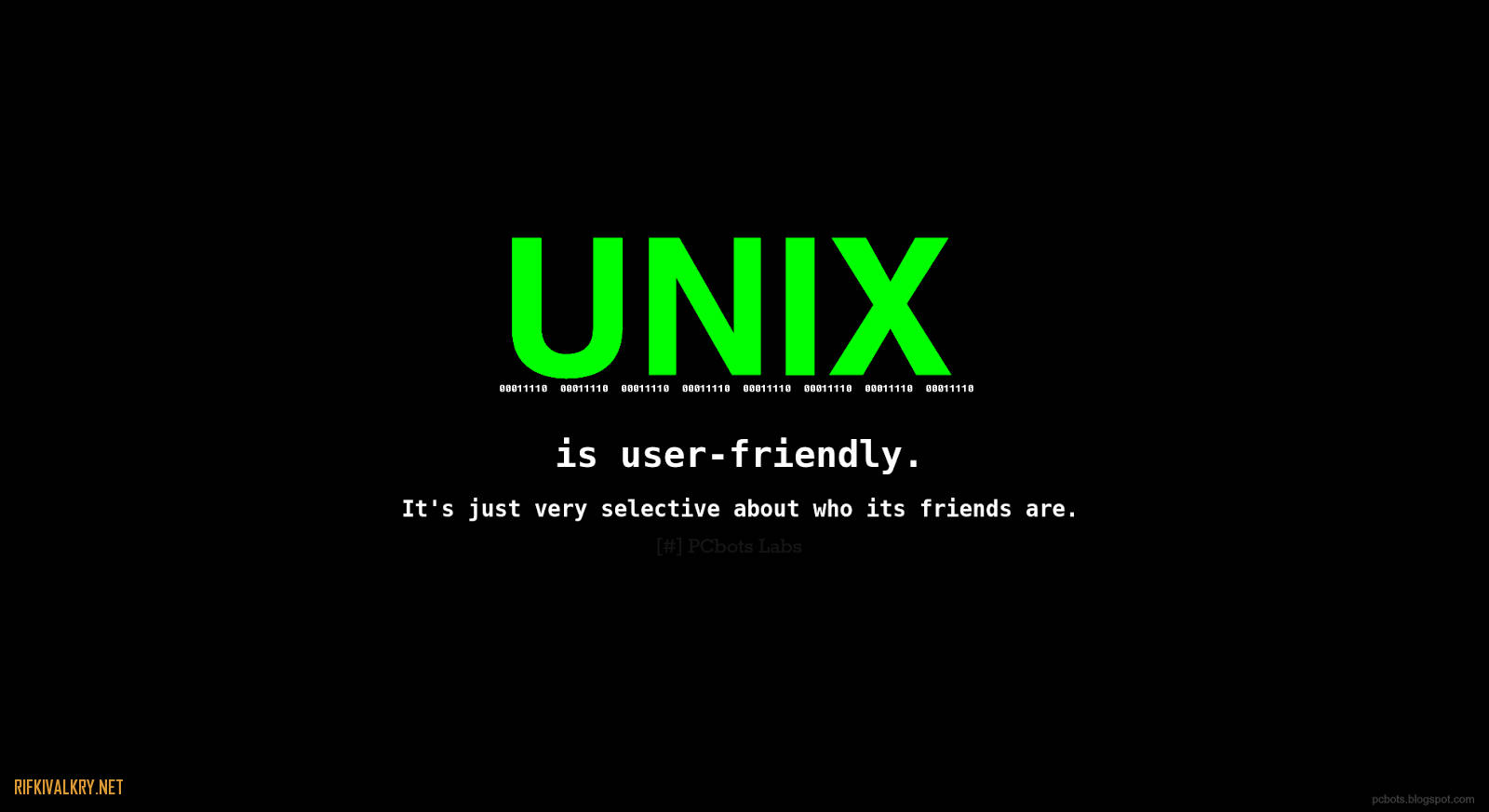 Friendly Linux Unix Hacker