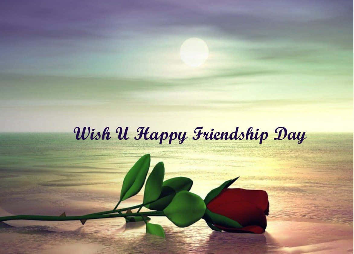 Feiernsie Dieses Jahr Den #friendshipday Mit Ihren Besten Freunden!
