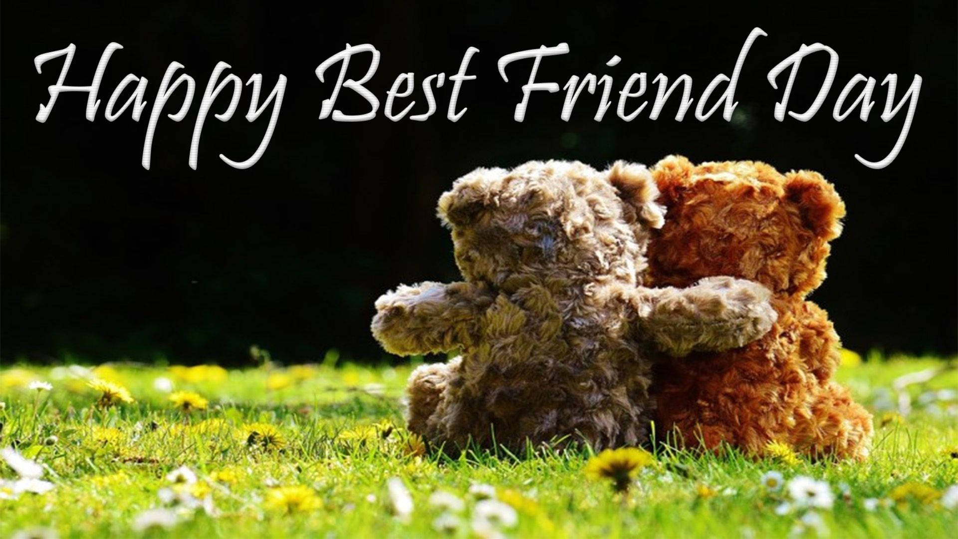 Celebrating Friendship Day With Teddy Bear Hugs Wallpaper