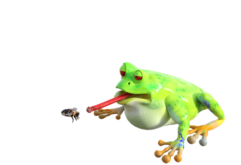 Frog Catching Bee PNG