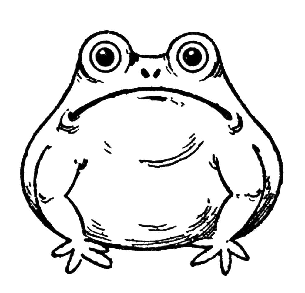 Download Cute Frog Drawing