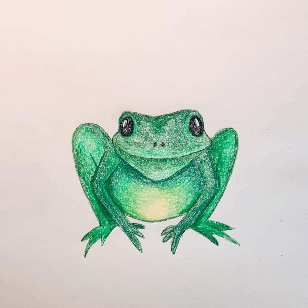 A Drawing Of A Green Frog