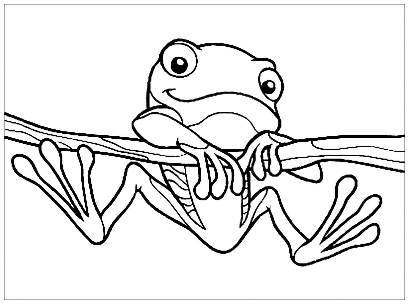 A Frog Sitting On A Branch Coloring Pages